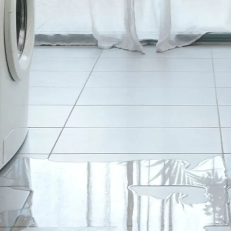 Appliance Leak Cleanup in Indian River, MI