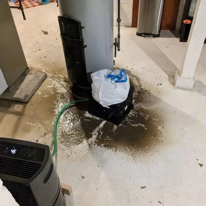 Sewage Backup Cleanup Service in Indian River, MI